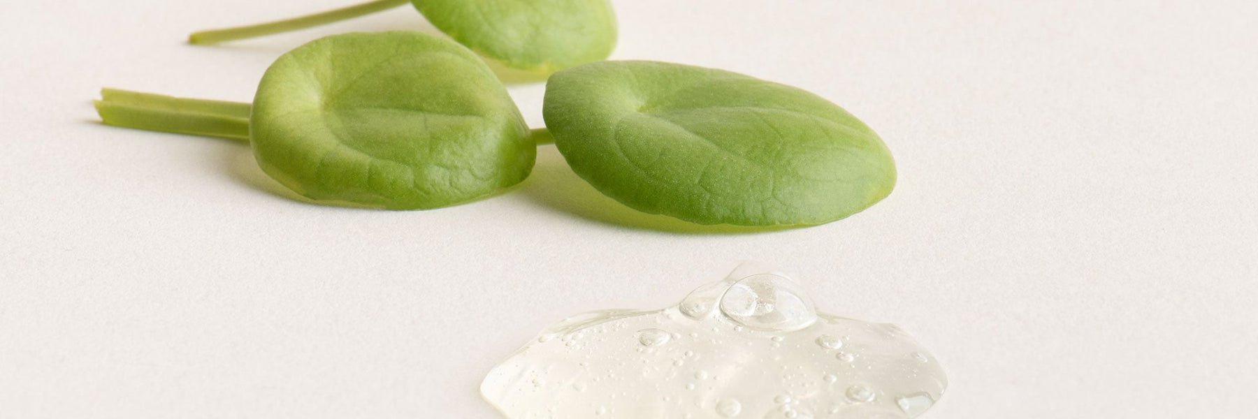 Gotu Kola for Skin: Benefits, How to Use