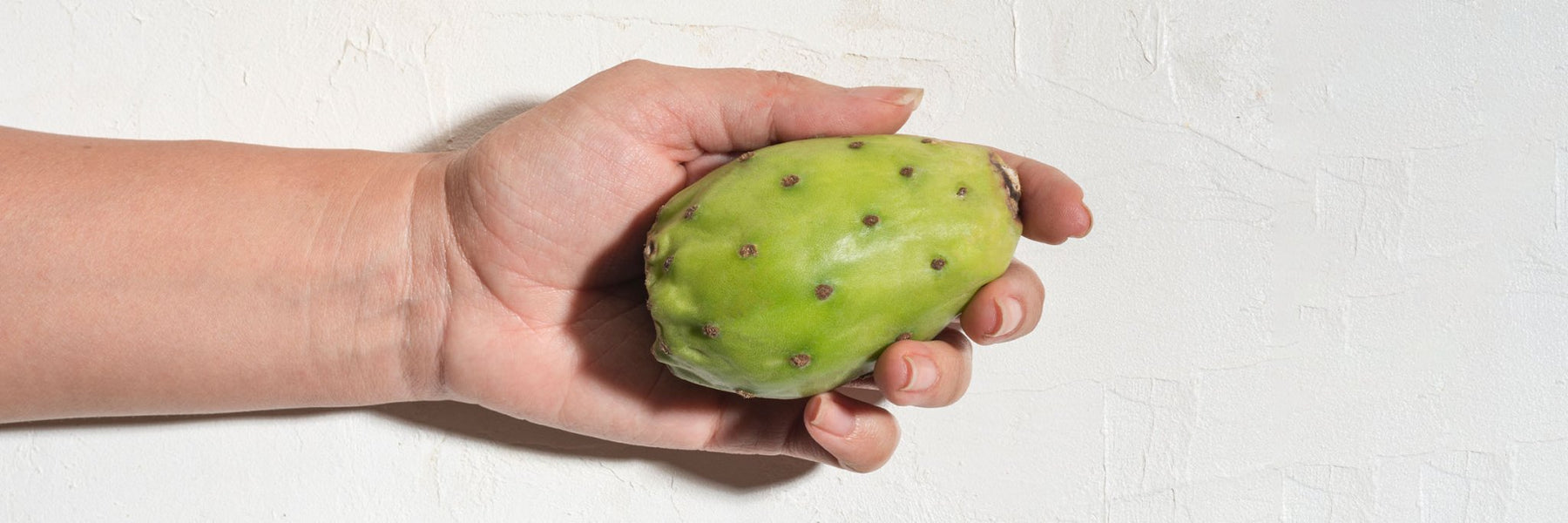 Prickly Pear Seed Oil for Skin: Benefits, How to Use