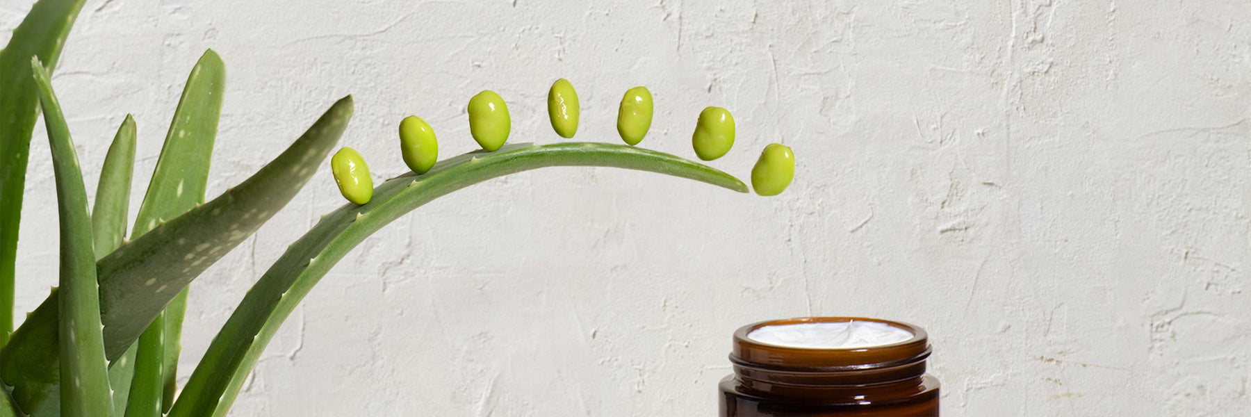 10 Vitamin E Skin Benefits